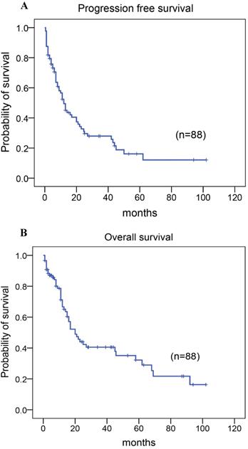 J Cancer Image