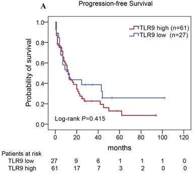 J Cancer Image