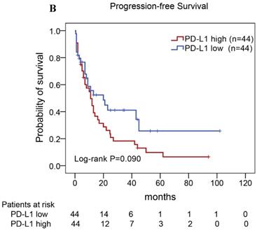 J Cancer Image