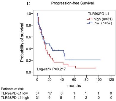 J Cancer Image