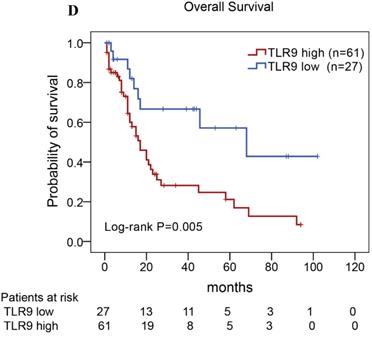 J Cancer Image