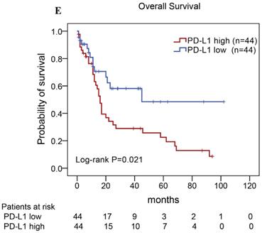 J Cancer Image