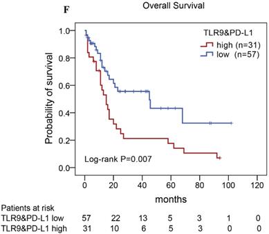 J Cancer Image