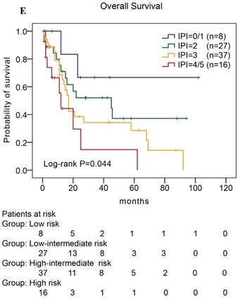 J Cancer Image