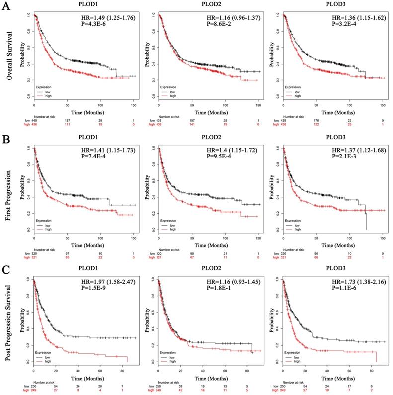 J Cancer Image