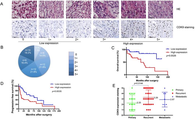 J Cancer Image