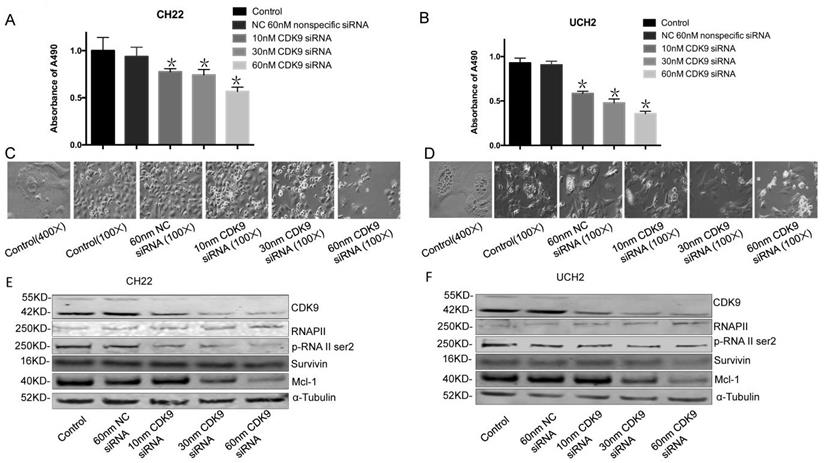 J Cancer Image