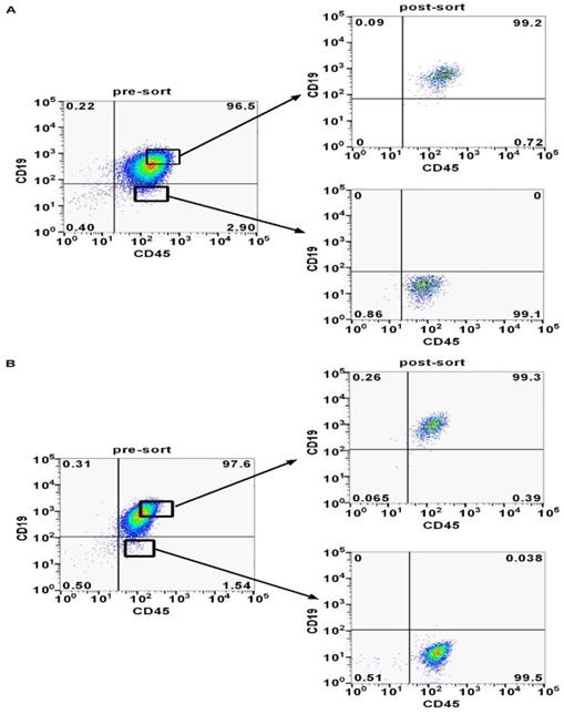 J Cancer Image