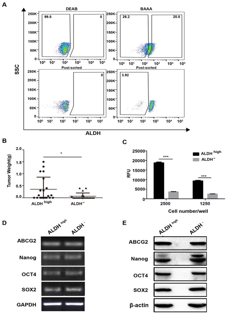 J Cancer Image