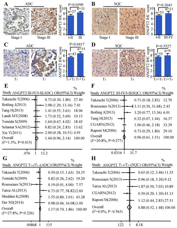 J Cancer Image