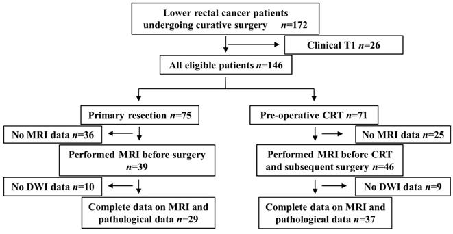 J Cancer Image