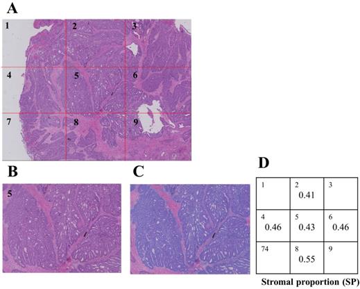 J Cancer Image