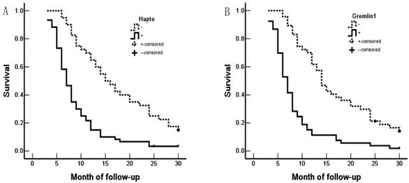 J Cancer Image