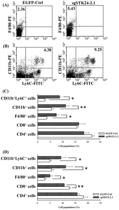 J Cancer Image