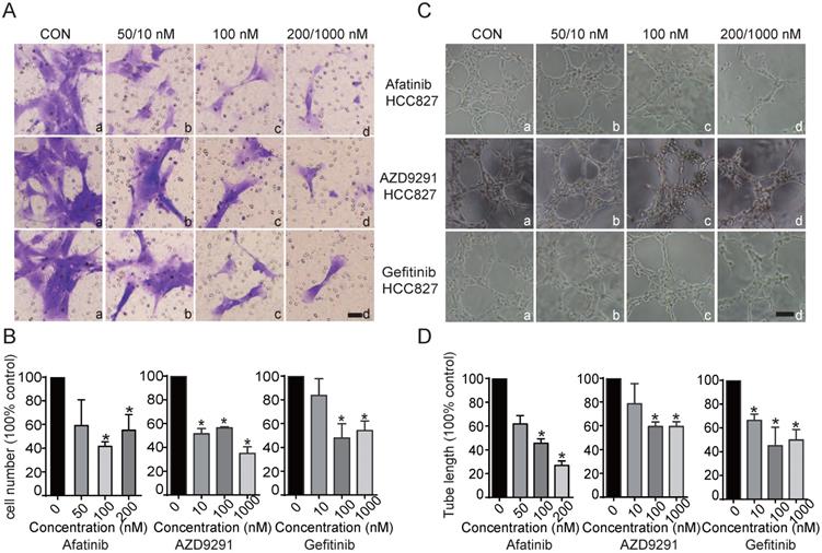 J Cancer Image