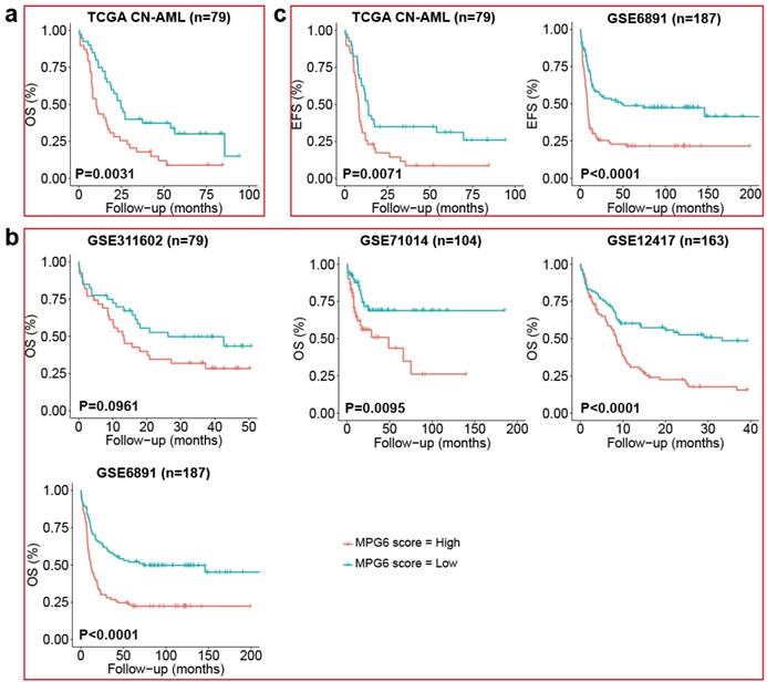 J Cancer Image