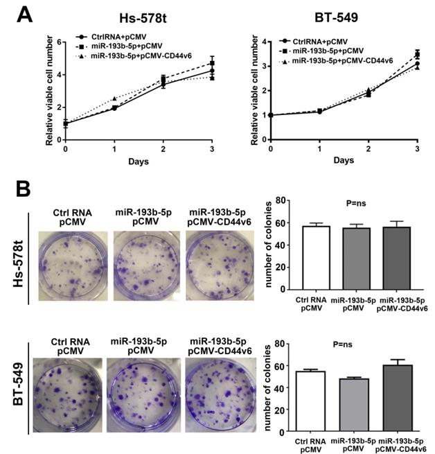 J Cancer Image