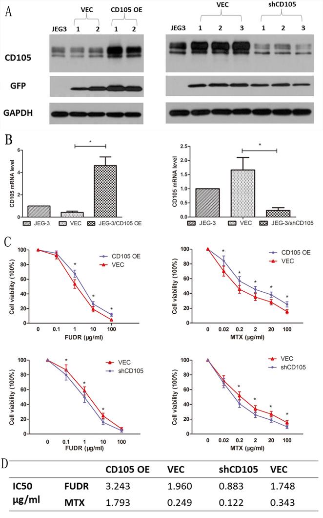 J Cancer Image