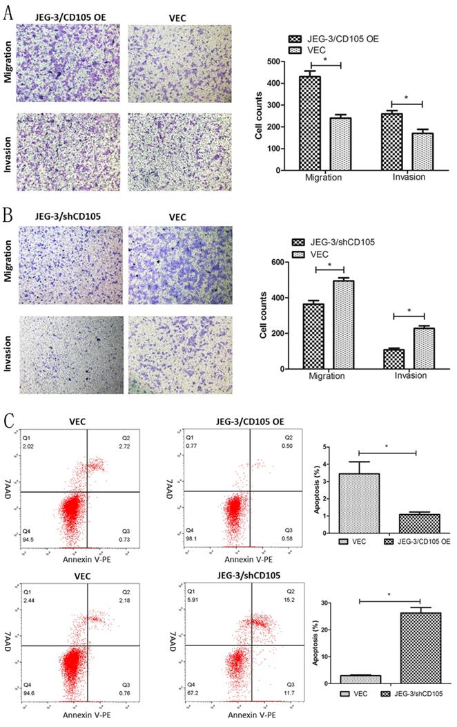 J Cancer Image