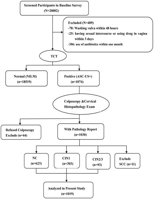 J Cancer Image