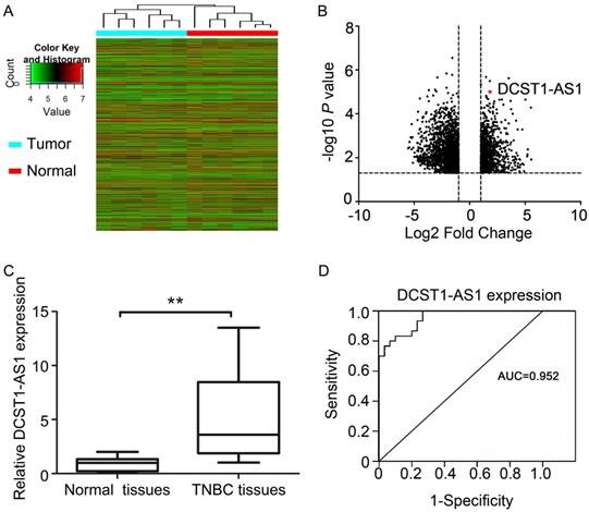 J Cancer Image