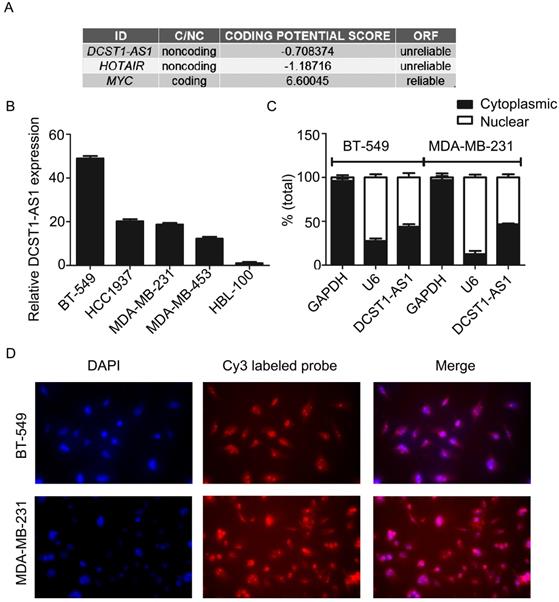 J Cancer Image