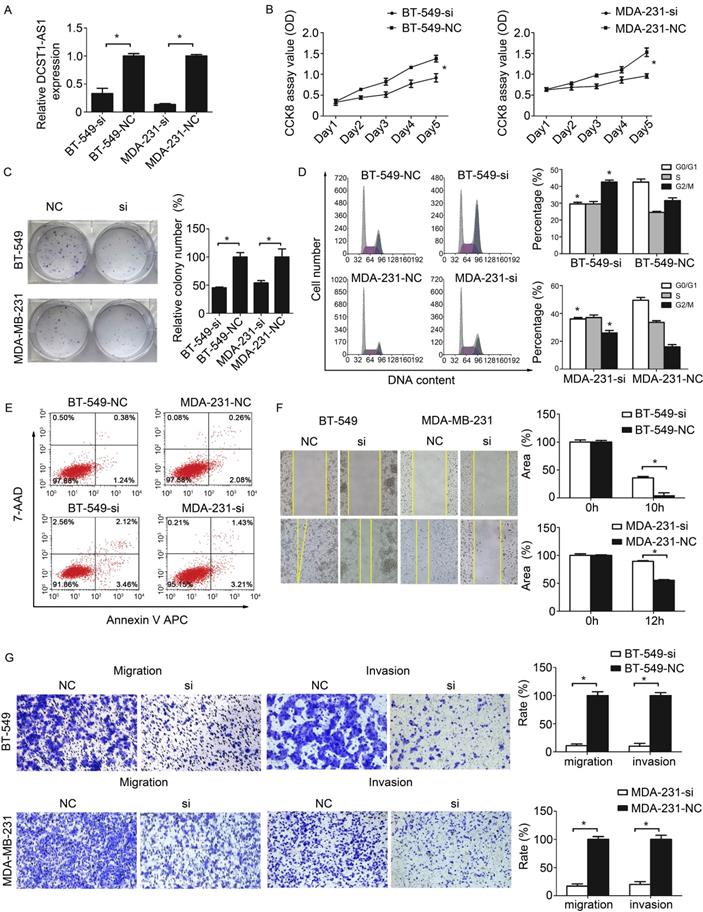 J Cancer Image