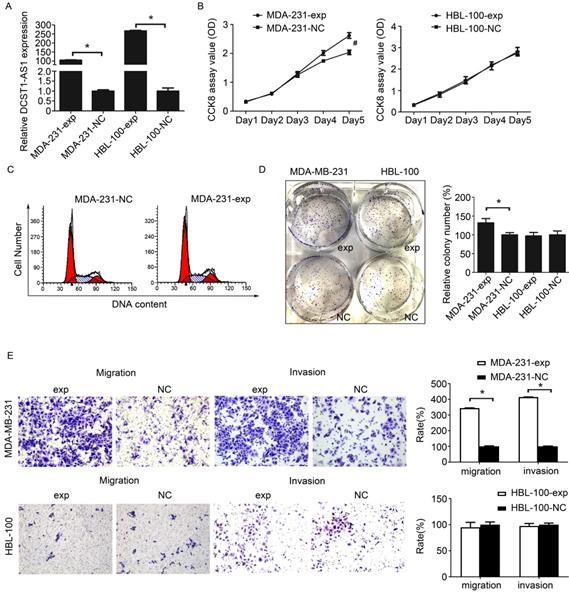 J Cancer Image