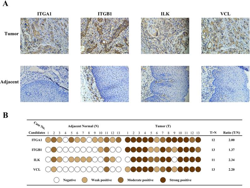 J Cancer Image