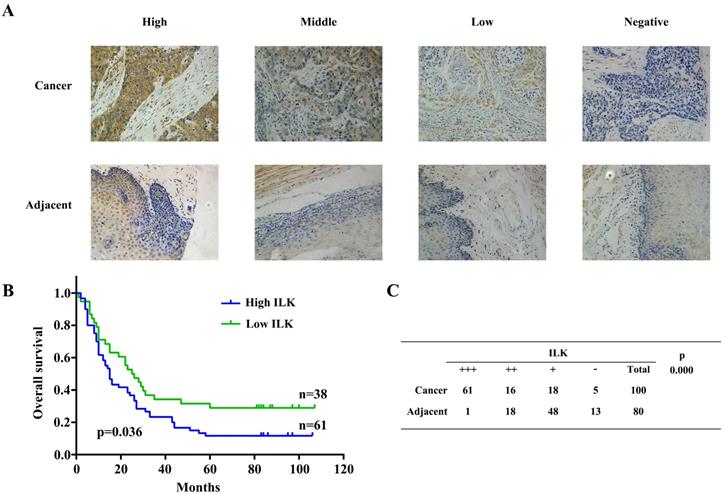 J Cancer Image