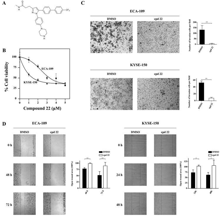 J Cancer Image