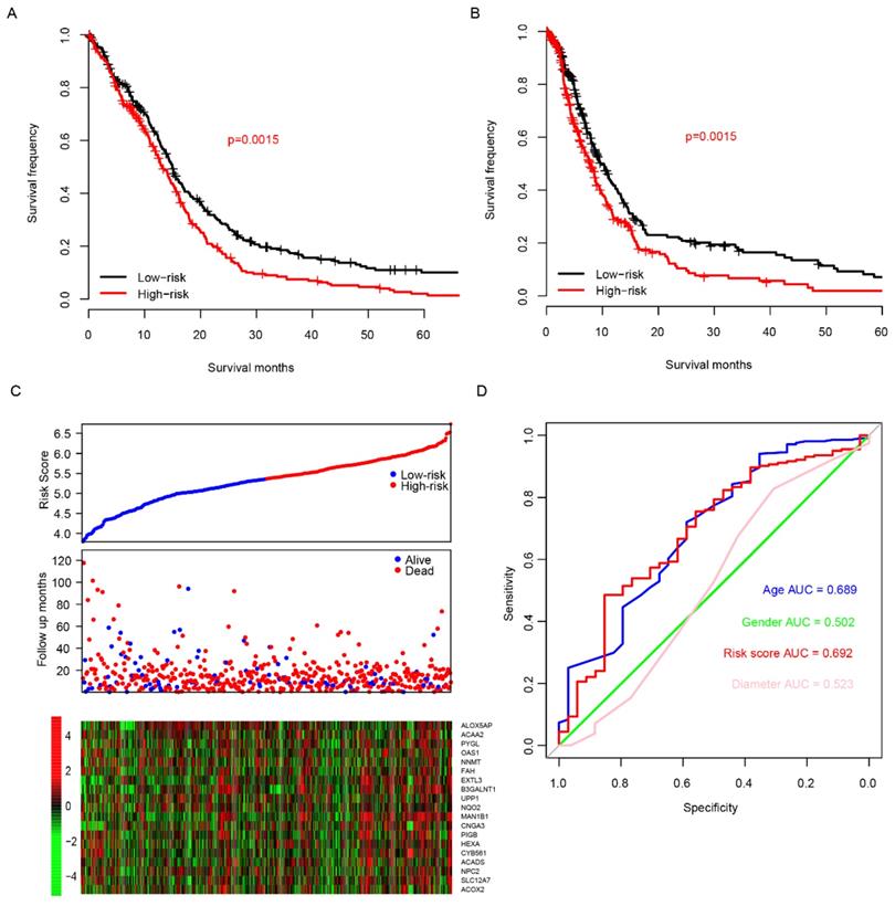 J Cancer Image