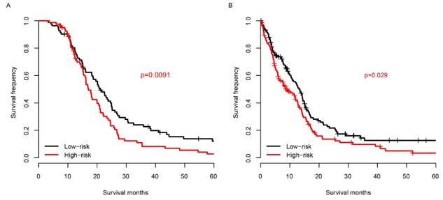 J Cancer Image