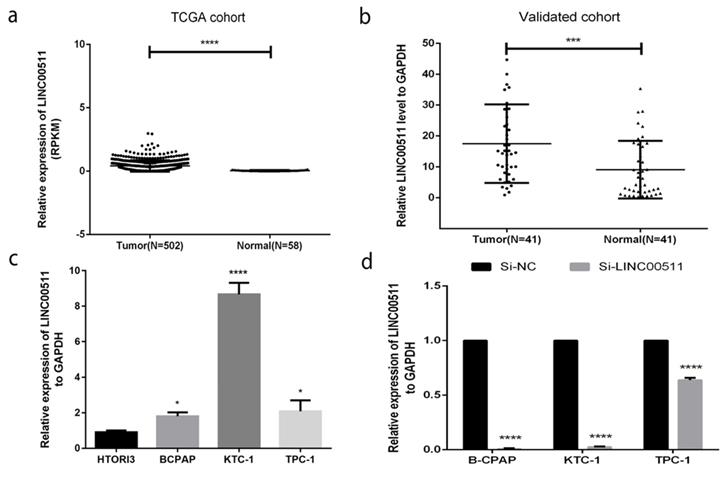 J Cancer Image