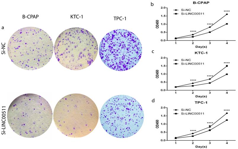 J Cancer Image