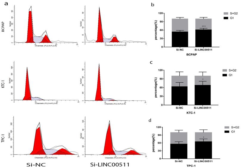 J Cancer Image