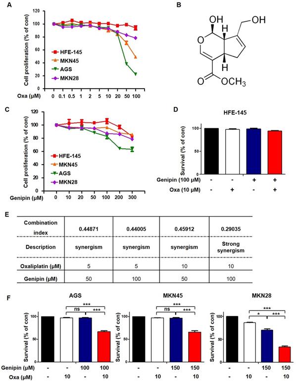 J Cancer Image