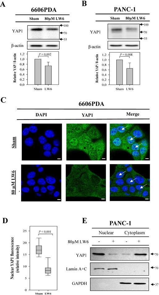 J Cancer Image