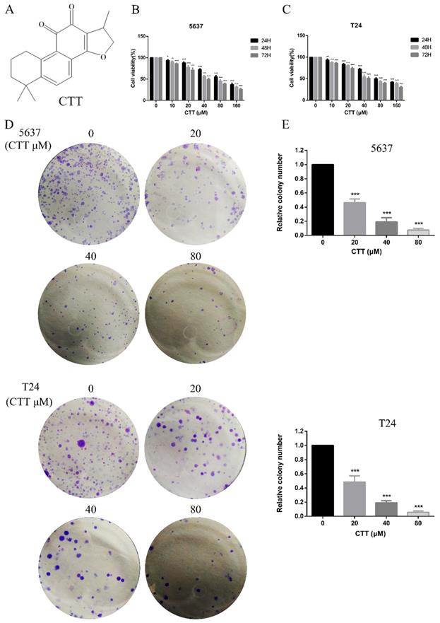 J Cancer Image