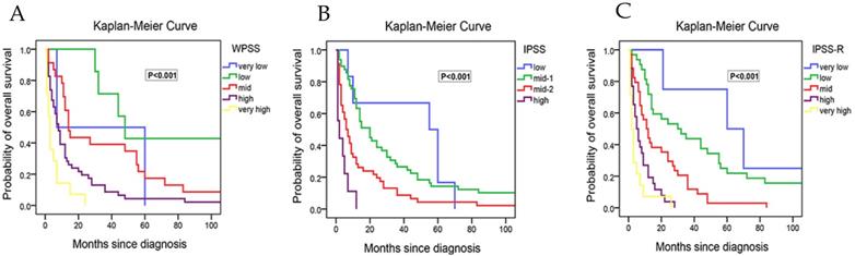 J Cancer Image