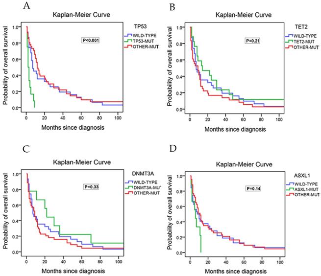 J Cancer Image