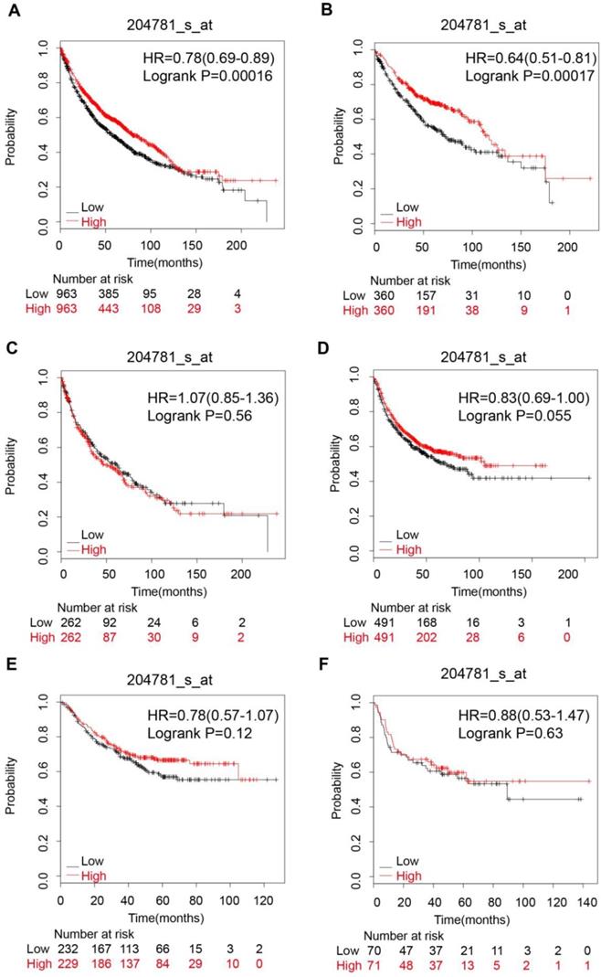 J Cancer Image