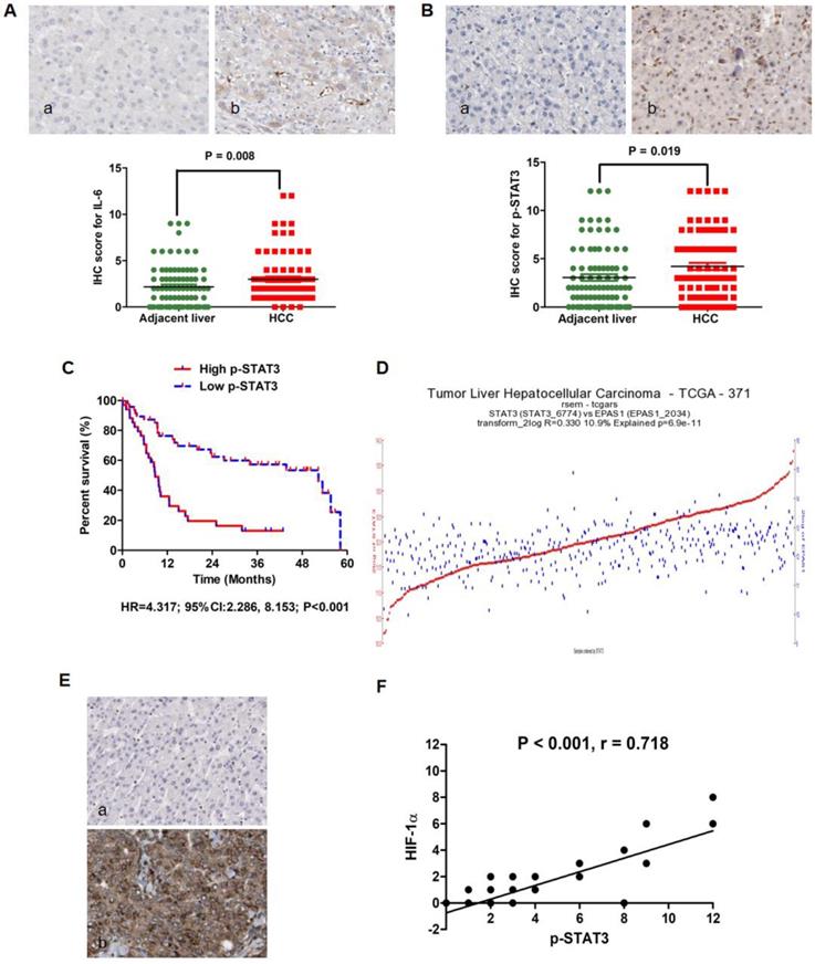 J Cancer Image