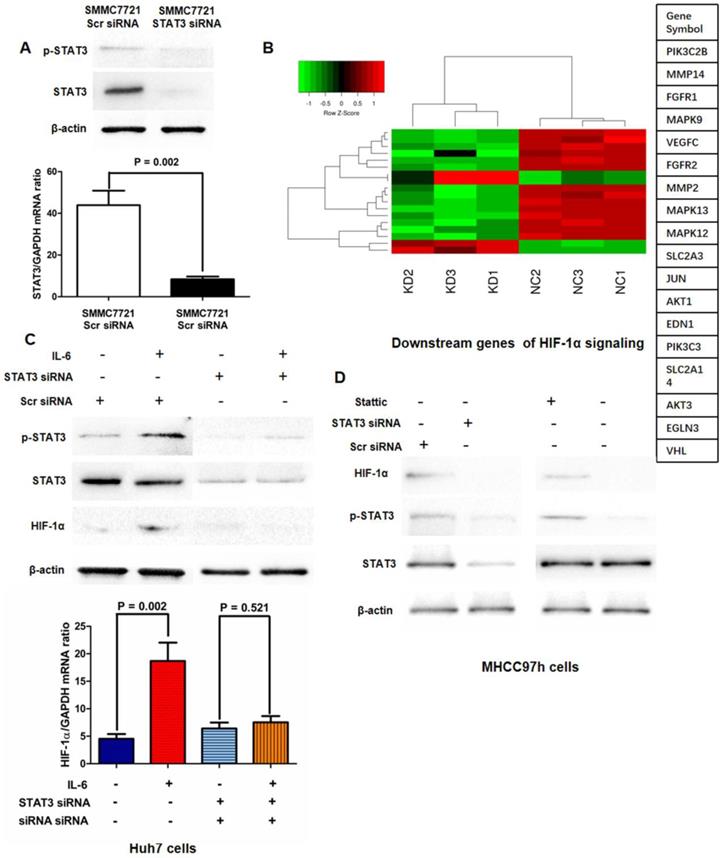 J Cancer Image