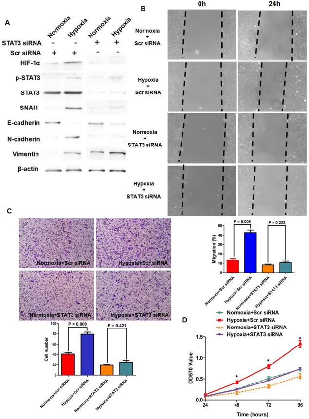 J Cancer Image