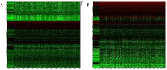 J Cancer Image