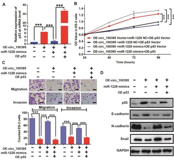 J Cancer Image