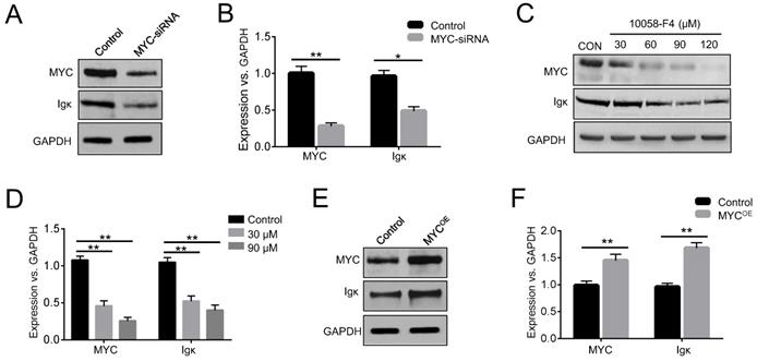 J Cancer Image