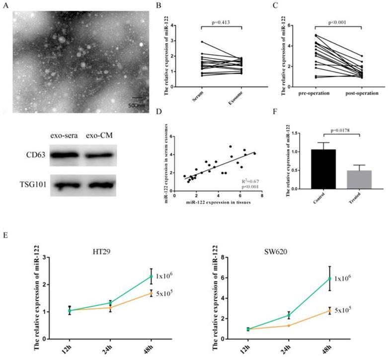 J Cancer Image