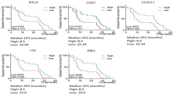 J Cancer Image